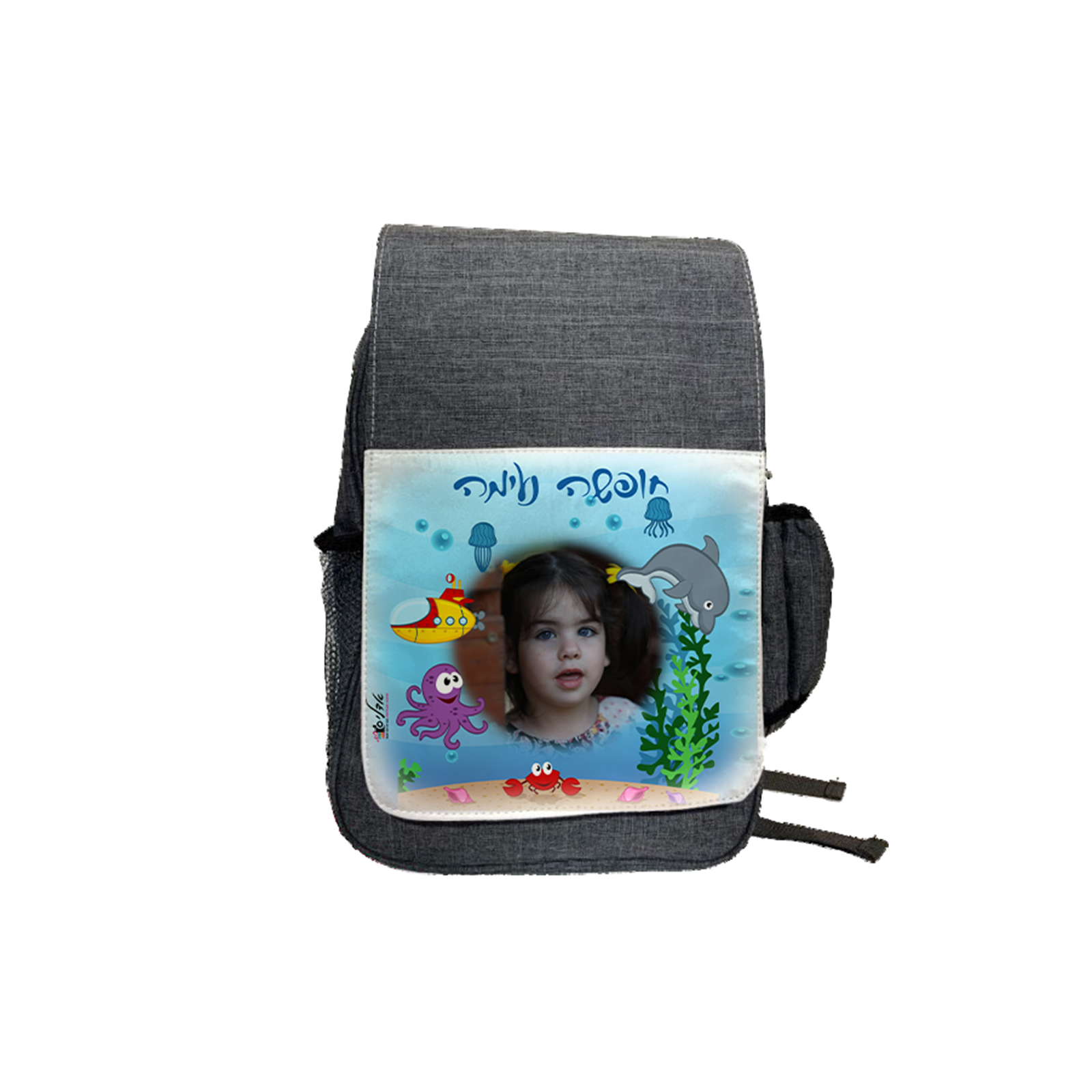 דגם אוקיינוס