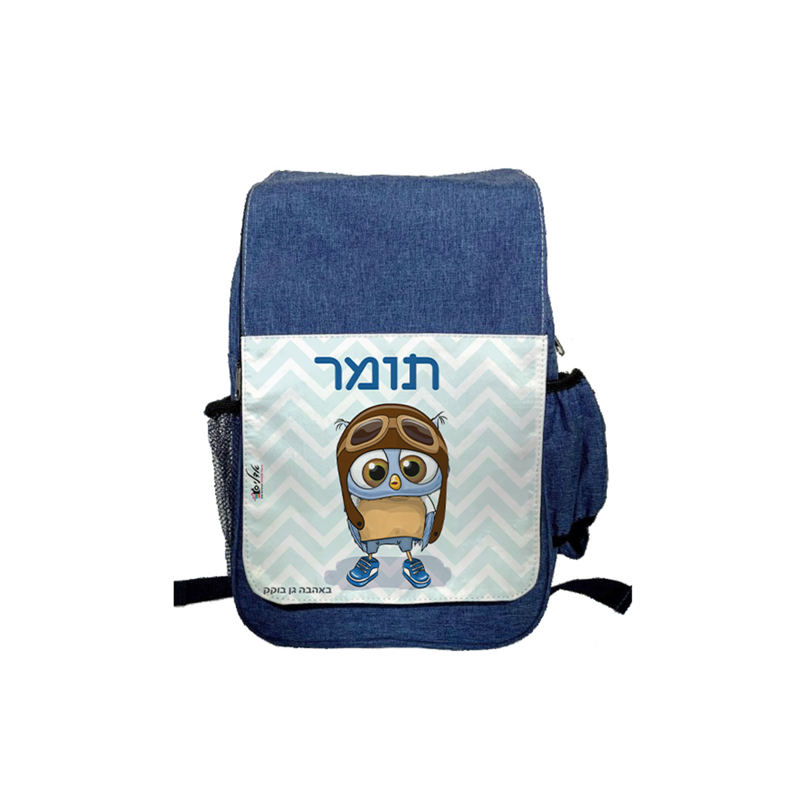 דגם טייס
