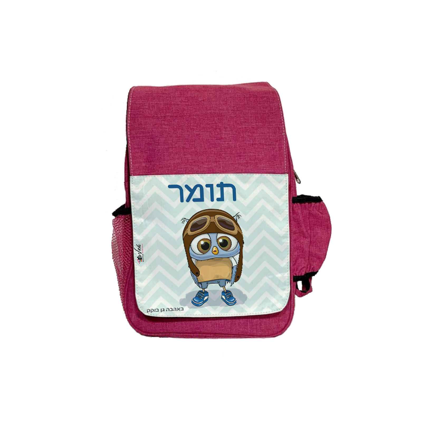 דגם טייס