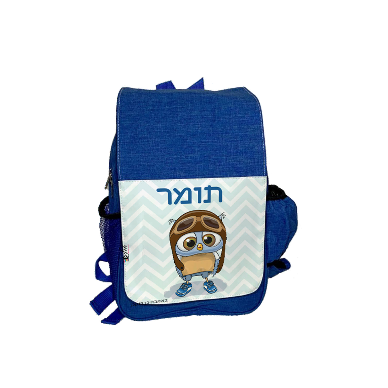 דגם טייס
