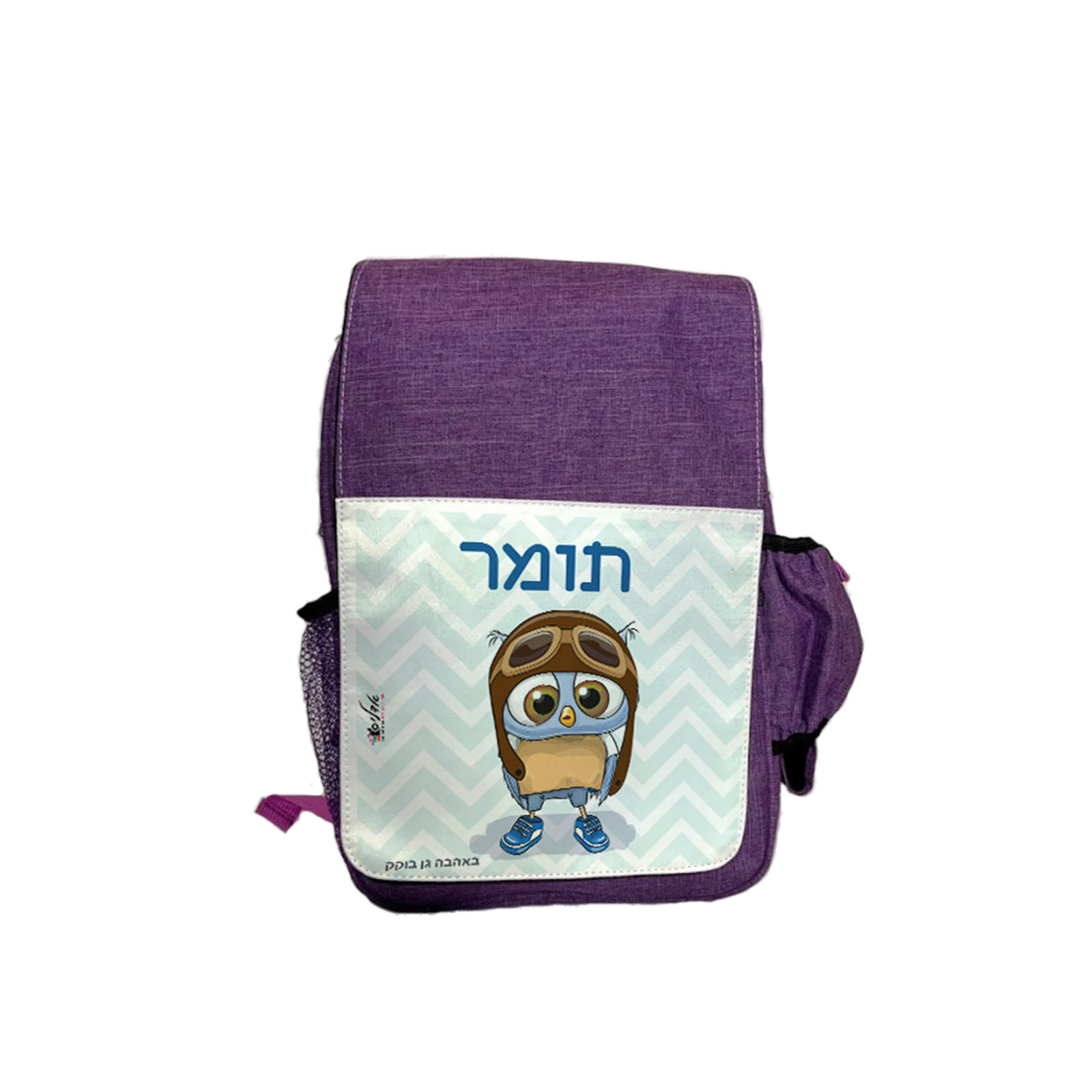 דגם טייס